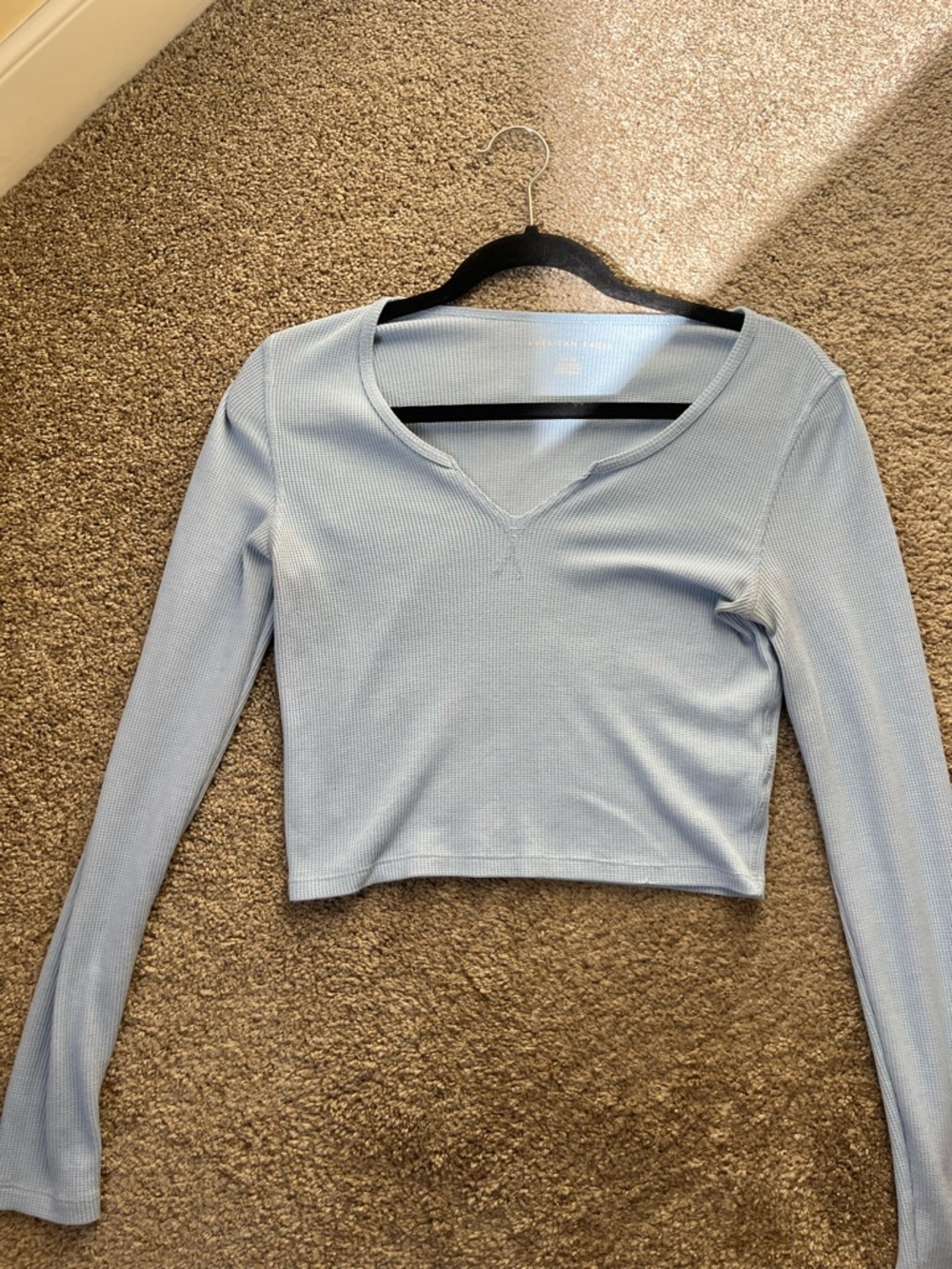 American Eagle Outfitters Blue Long Sleeve Crop Top